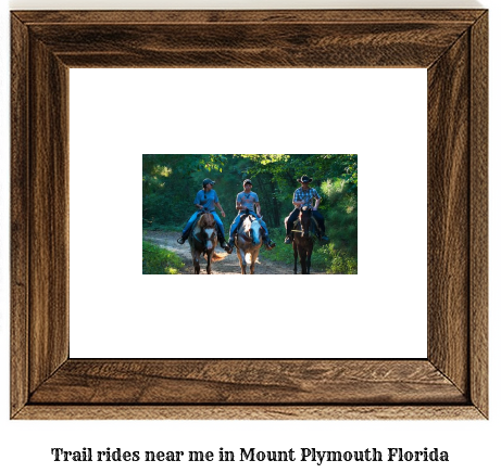 trail rides near me in Mount Plymouth, Florida